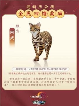 天龙八部私服特色版